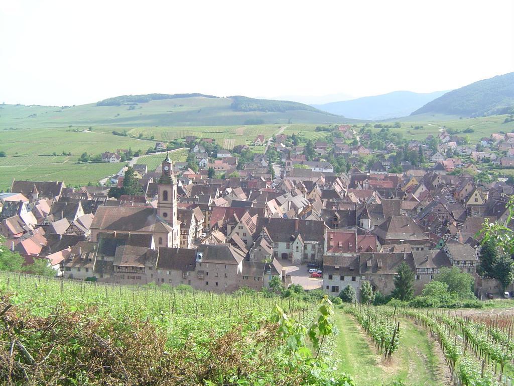 La Maison Vigneronne Riquewihr Rom bilde